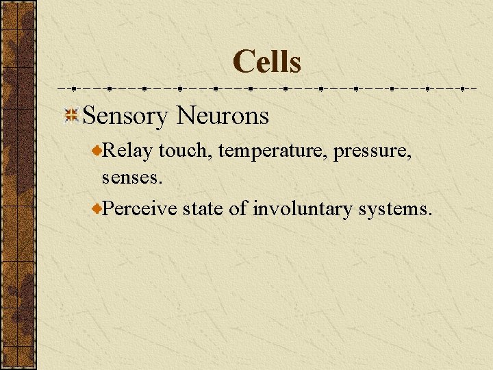 Cells Sensory Neurons Relay touch, temperature, pressure, senses. Perceive state of involuntary systems. 