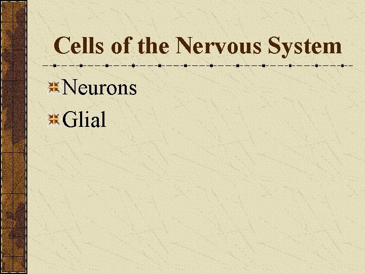 Cells of the Nervous System Neurons Glial 