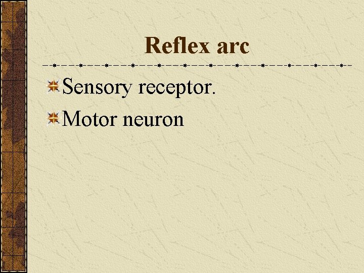 Reflex arc Sensory receptor. Motor neuron 