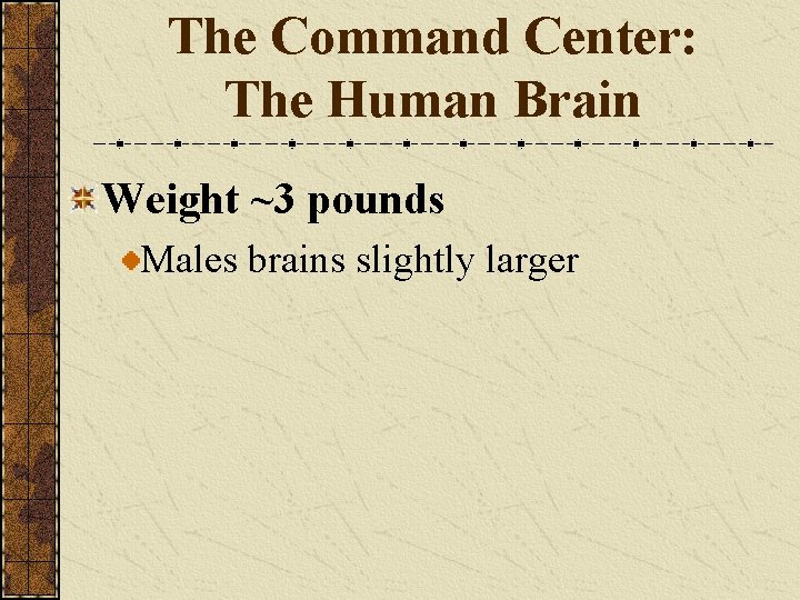 The Command Center: The Human Brain Weight ~3 pounds Males brains slightly larger 