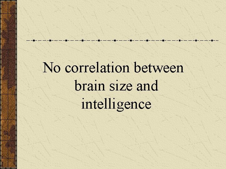 No correlation between brain size and intelligence 