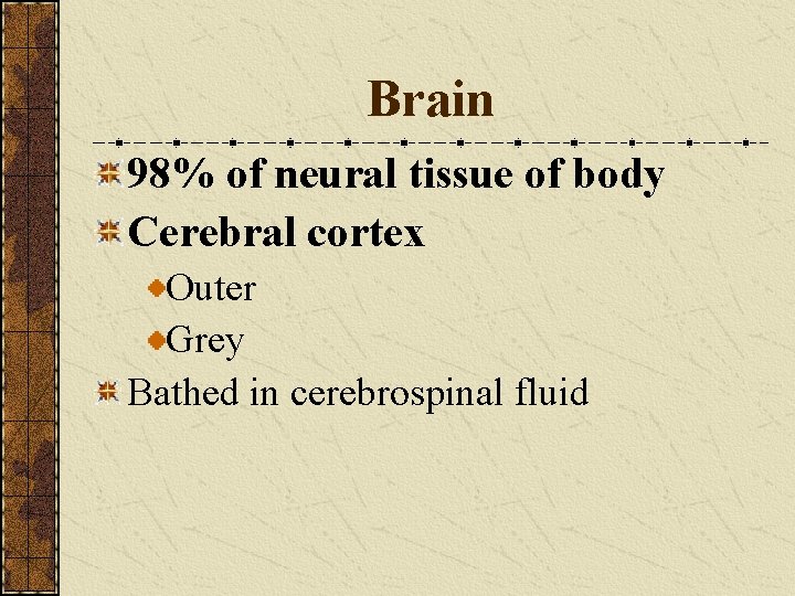 Brain 98% of neural tissue of body Cerebral cortex Outer Grey Bathed in cerebrospinal