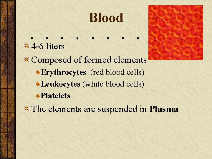 Blood 4 -6 liters Composed of formed elements Erythrocytes (red blood cells) Leukocytes (white