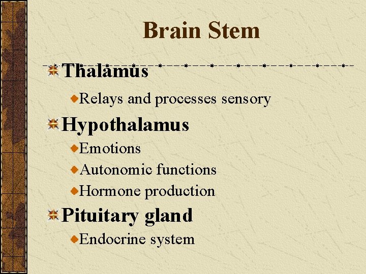 Brain Stem Thalamus Relays and processes sensory Hypothalamus Emotions Autonomic functions Hormone production Pituitary