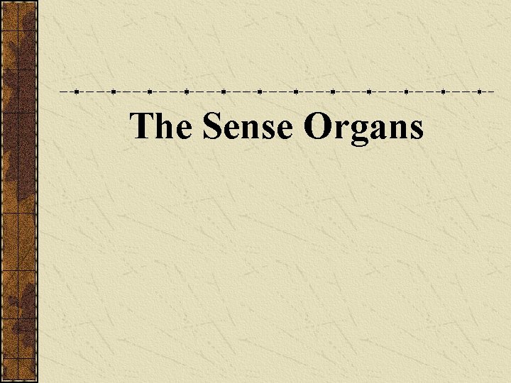 The Sense Organs 