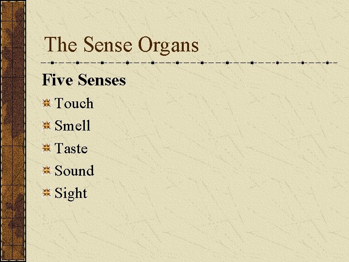 The Sense Organs Five Senses Touch Smell Taste Sound Sight 