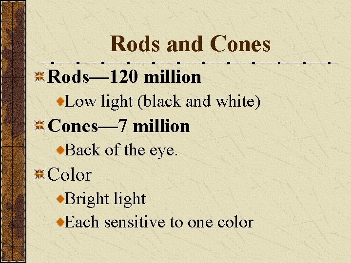 Rods and Cones Rods— 120 million Low light (black and white) Cones— 7 million
