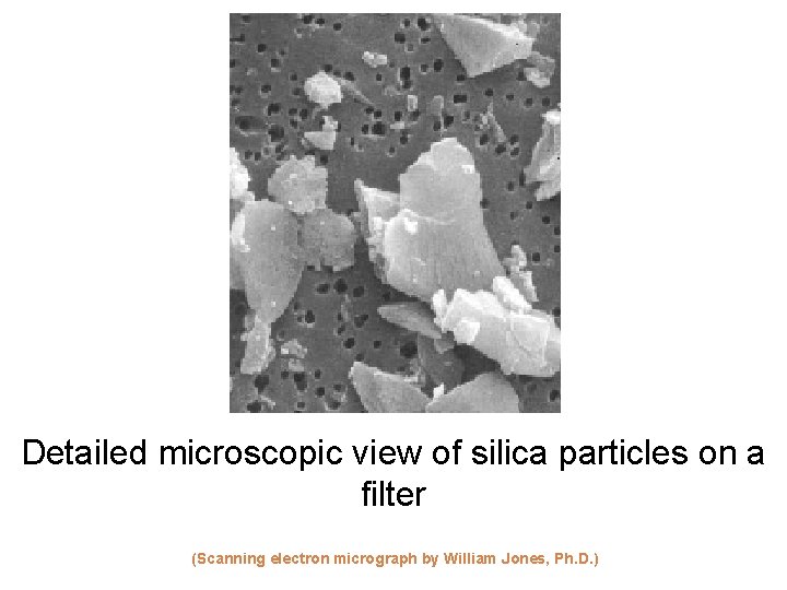 Detailed microscopic view of silica particles on a filter (Scanning electron micrograph by William