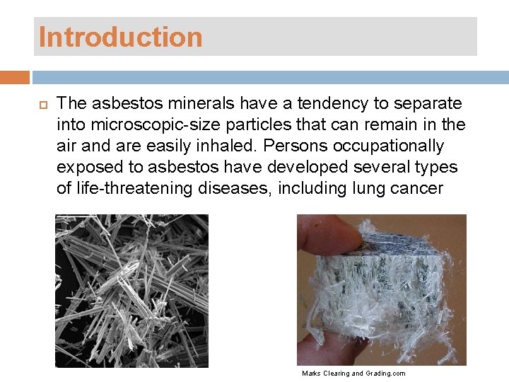 Introduction The asbestos minerals have a tendency to separate into microscopic-size particles that can
