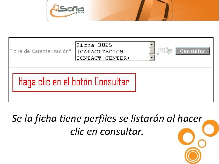 Se la ficha tiene perfiles se listarán al hacer clic en consultar. 