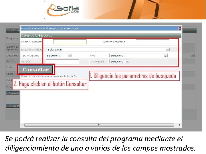 Se podrá realizar la consulta del programa mediante el diligenciamiento de uno o varios