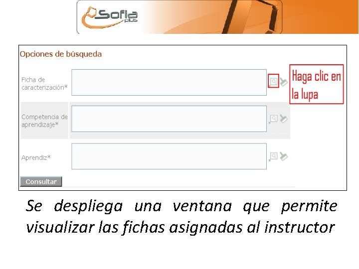 Se despliega una ventana que permite visualizar las fichas asignadas al instructor 