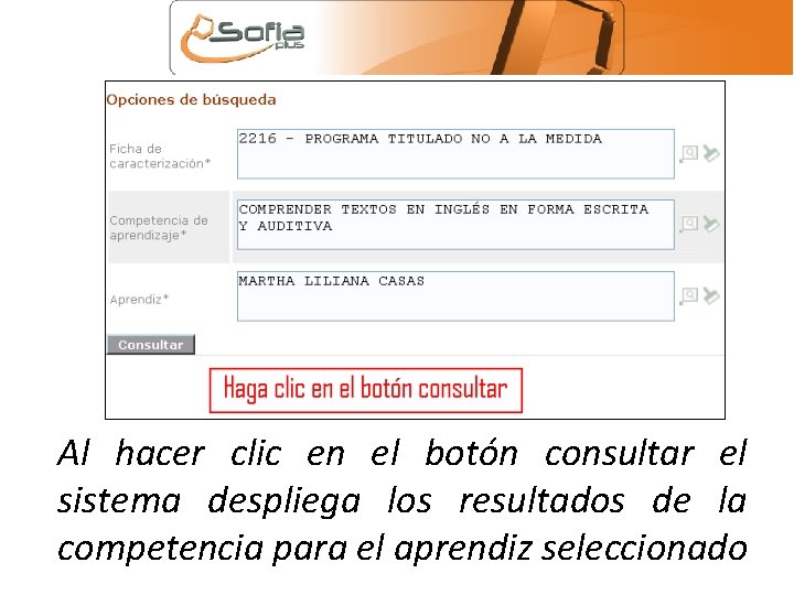 Al hacer clic en el botón consultar el sistema despliega los resultados de la