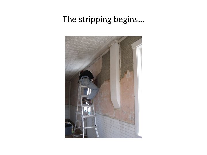 The stripping begins… 