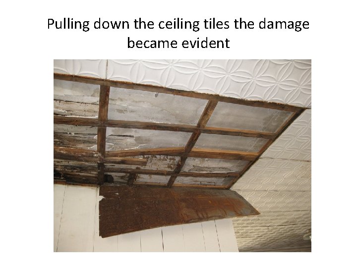Pulling down the ceiling tiles the damage became evident 