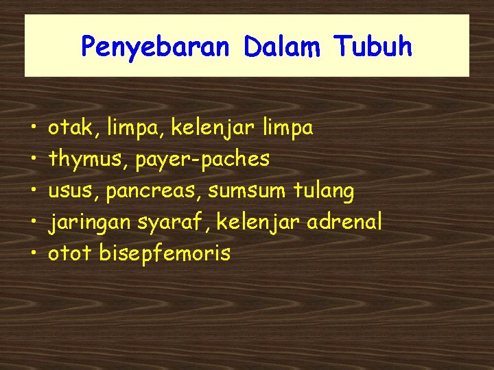 Penyebaran Dalam Tubuh • • • otak, limpa, kelenjar limpa thymus, payer-paches usus, pancreas,