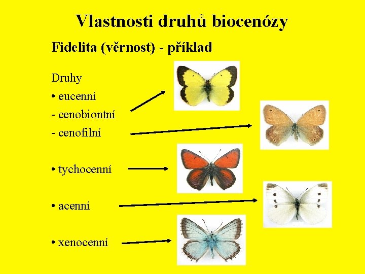 Vlastnosti druhů biocenózy Fidelita (věrnost) - příklad Druhy • eucenní - cenobiontní - cenofilní