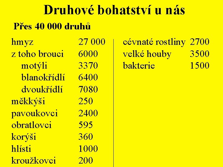 Druhové bohatství u nás Přes 40 000 druhů hmyz z toho brouci motýli blanokřídlí