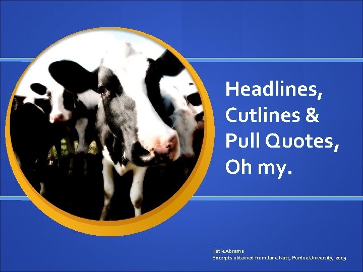 Headlines, Cutlines & Pull Quotes, Oh my. Katie Abrams Excerpts obtained from Jane Natt,