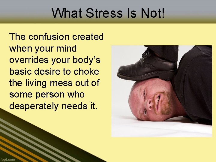 What Stress Is Not! The confusion created when your mind overrides your body’s basic