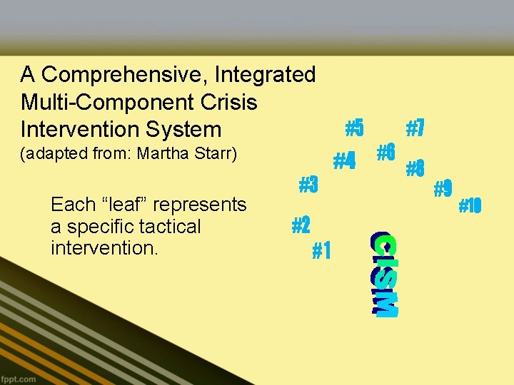 A Comprehensive, Integrated Multi-Component Crisis Intervention System (adapted from: Martha Starr) Each “leaf” represents