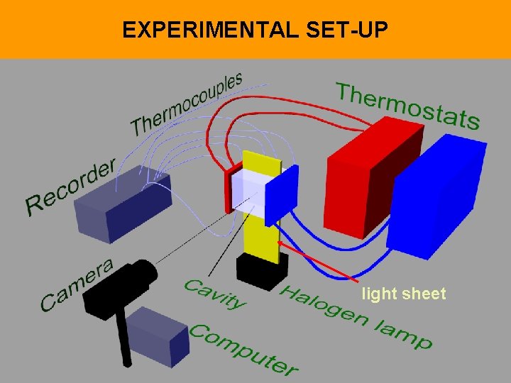 EXPERIMENTAL SET-UP light sheet 