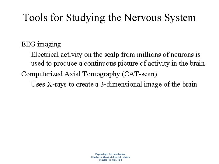 Tools for Studying the Nervous System l l EEG imaging – Electrical activity on