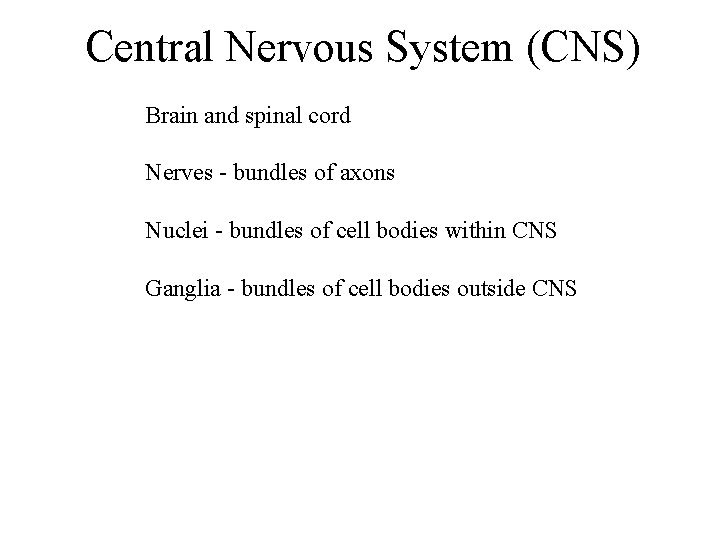 Central Nervous System (CNS) Brain and spinal cord Nerves - bundles of axons Nuclei