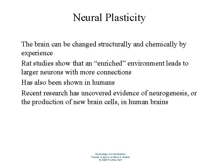 Neural Plasticity l l The brain can be changed structurally and chemically by experience