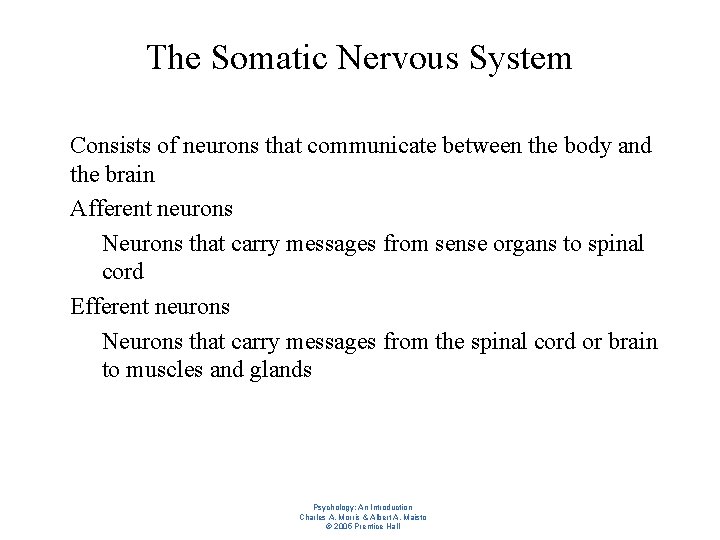 The Somatic Nervous System l l l Consists of neurons that communicate between the