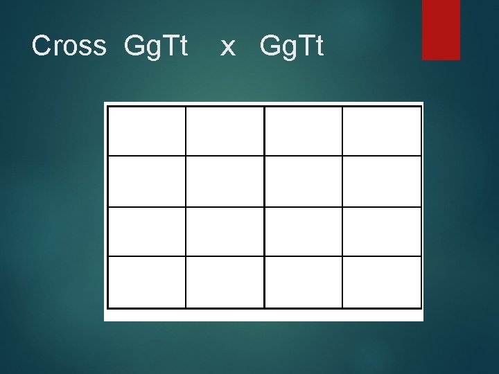 Cross Gg. Tt x Gg. Tt 