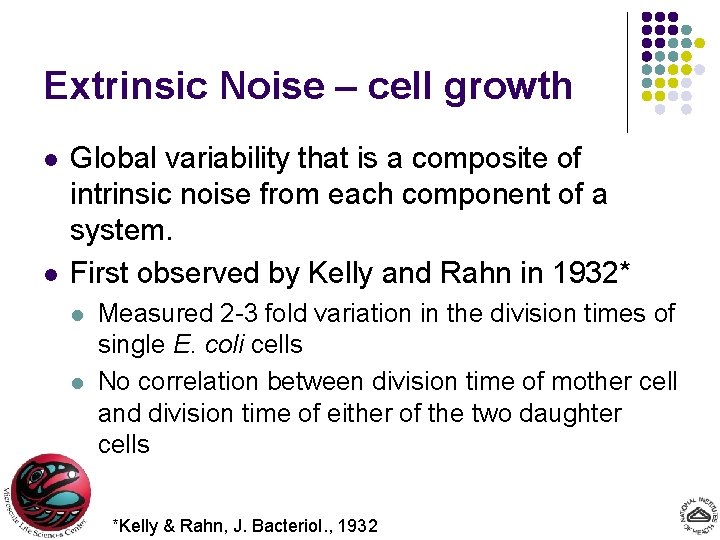 Extrinsic Noise – cell growth l l Global variability that is a composite of