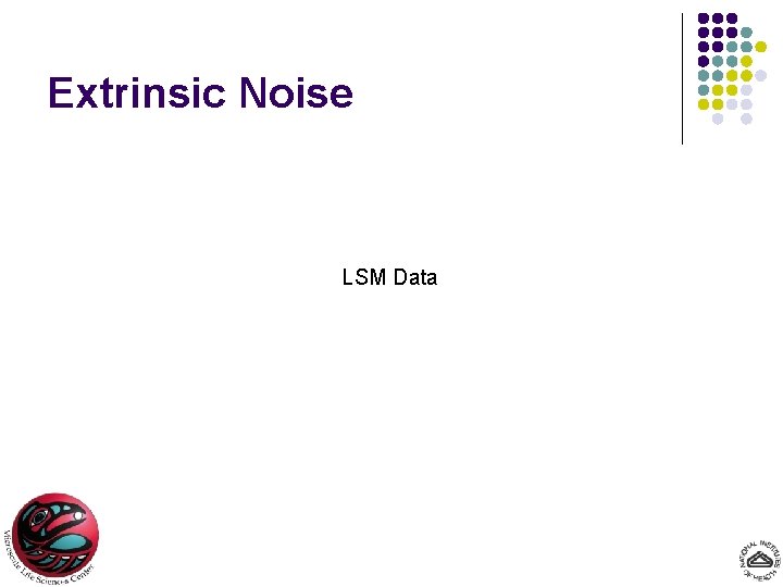 Extrinsic Noise LSM Data 