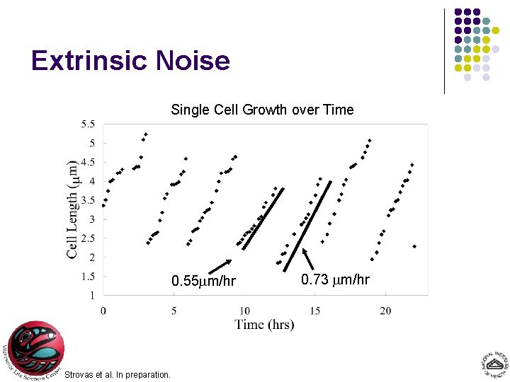 Extrinsic Noise Single Cell Growth over Time 0. 55 mm/hr Strovas et al. In