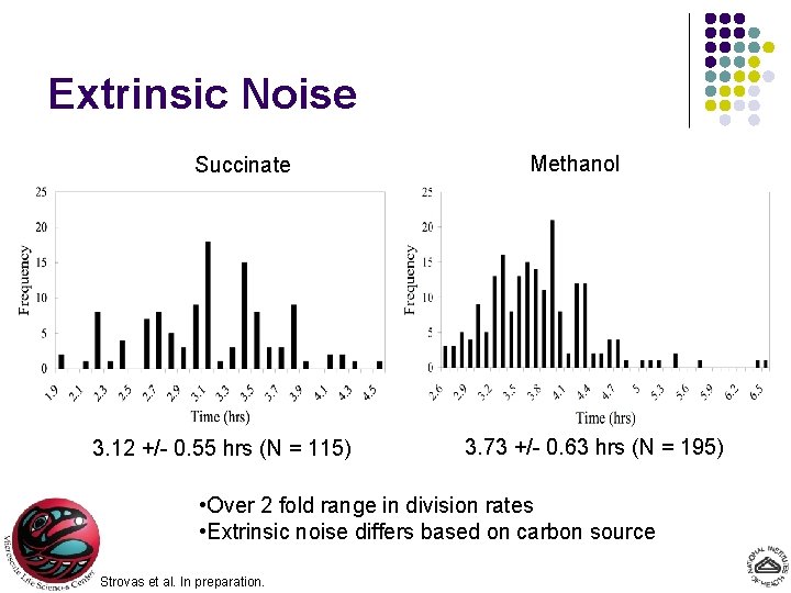 Extrinsic Noise Succinate 3. 12 +/- 0. 55 hrs (N = 115) Methanol 3.