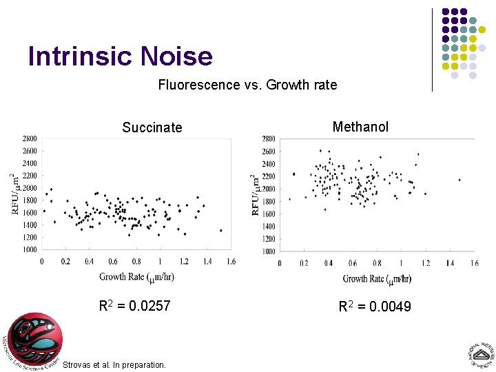 Intrinsic Noise Fluorescence vs. Growth rate Succinate R 2 = 0. 0257 Strovas et