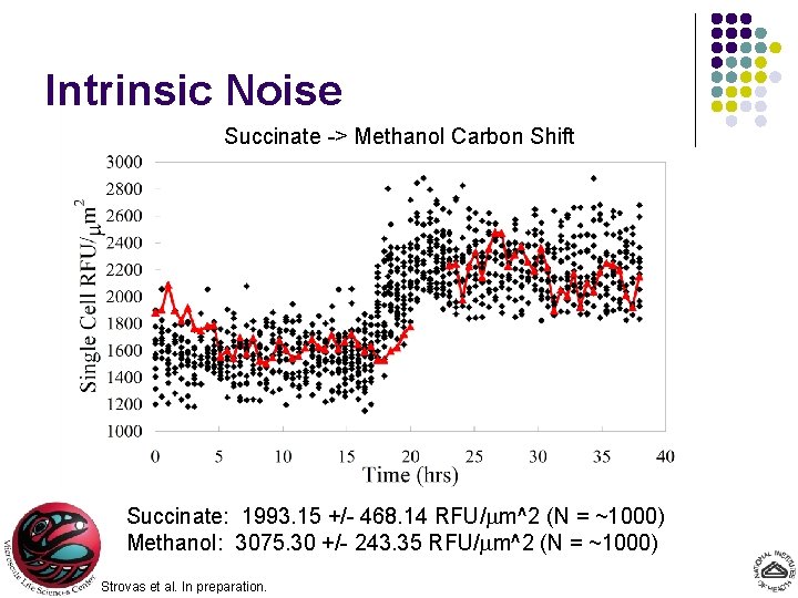 Intrinsic Noise Succinate -> Methanol Carbon Shift Succinate: 1993. 15 +/- 468. 14 RFU/mm^2