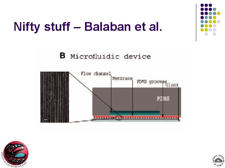 Nifty stuff – Balaban et al. 