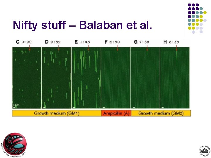 Nifty stuff – Balaban et al. 