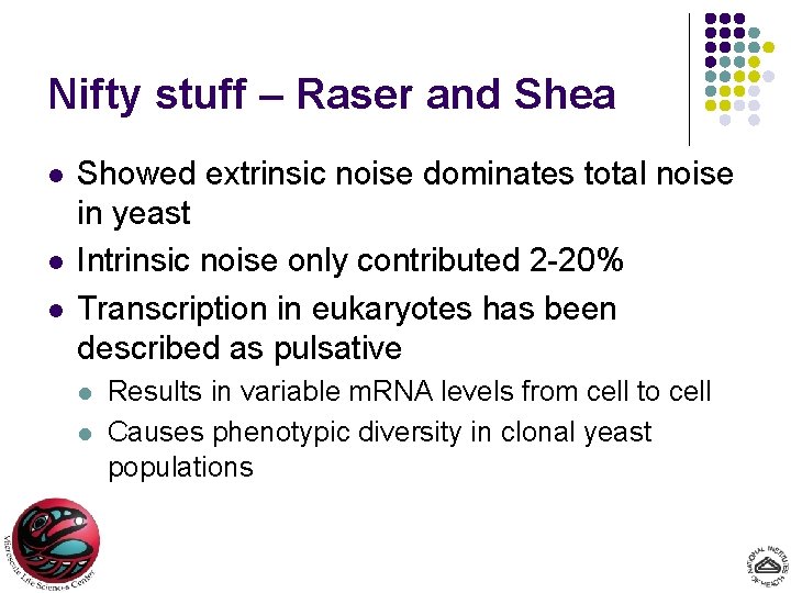 Nifty stuff – Raser and Shea l l l Showed extrinsic noise dominates total