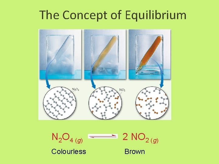 The Concept of Equilibrium N 2 O 4 (g) 2 NO 2 (g) Colourless