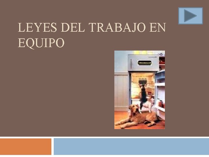 LEYES DEL TRABAJO EN EQUIPO 