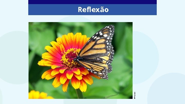 ©Pixabay Reflexão ©Pixabay Reflexão