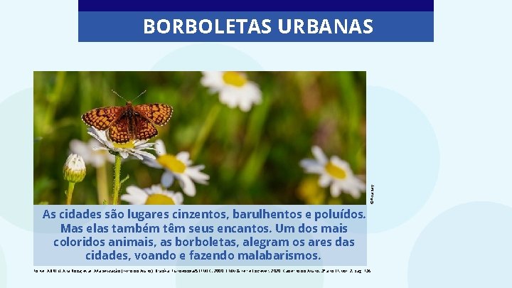 ©Pixabay BORBOLETAS URBANAS As cidades são lugares cinzentos, barulhentos e poluídos. Mas elas também ©Pixabay BORBOLETAS URBANAS As cidades são lugares cinzentos, barulhentos e poluídos. Mas elas também