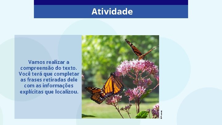 Atividade ©Pixabay Vamos realizar a compreensão do texto. Você terá que completar as frases Atividade ©Pixabay Vamos realizar a compreensão do texto. Você terá que completar as frases