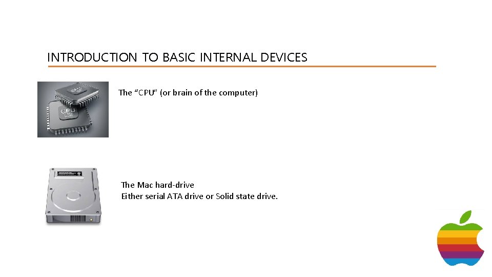 INTRODUCTION TO BASIC INTERNAL DEVICES The “CPU” (or brain of the computer) The Mac