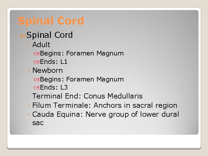 Spinal Cord ◦ Adult Begins: Foramen Magnum Ends: L 1 ◦ Newborn Begins: Foramen
