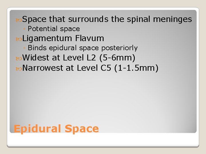  Space that surrounds ◦ Potential space the spinal meninges Ligamentum Flavum ◦ Binds