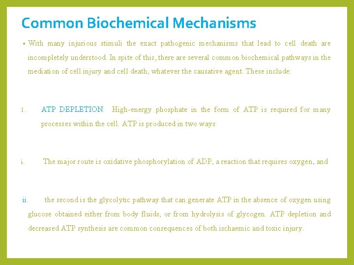 Common Biochemical Mechanisms • With many injurious stimuli the exact pathogenic mechanisms that lead