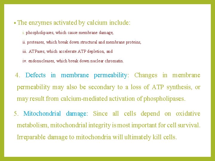  • The enzymes activated by calcium include: i. phospholipases, which cause membrane damage,